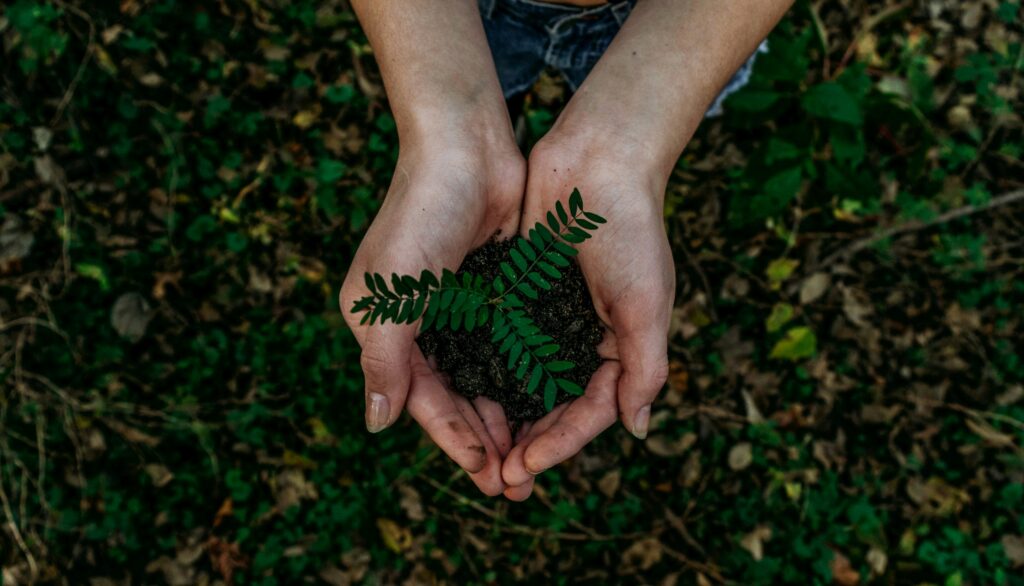 ECOSOSTENIBILITA'
